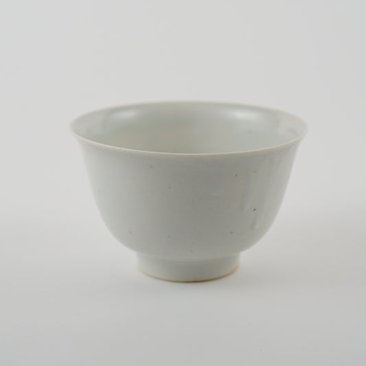White ceramic bowl on a light gray background