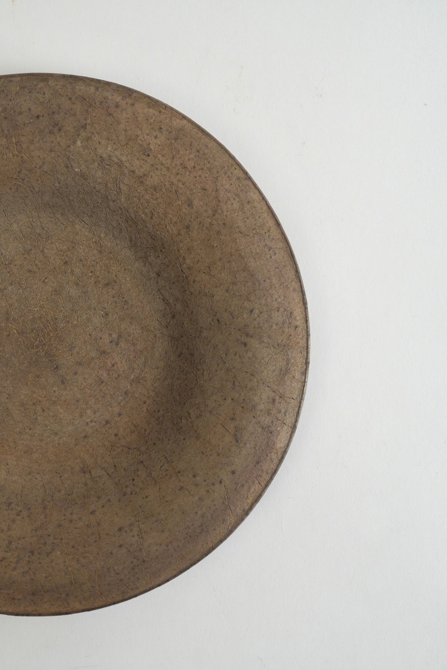 A close-up of a round ceramic plate with a textured, speckled dark brown glaze, cropped on the left side against a plain white background.
