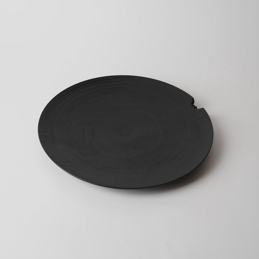 Black round object on a light gray background